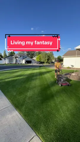 Fantasy come true #fantasy #lawn #mowing #lawngestyard 