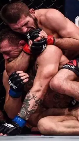 Conor VS Khabib #khabib #conormcgregor #UFC #mma #fppppppppppppppppppp 