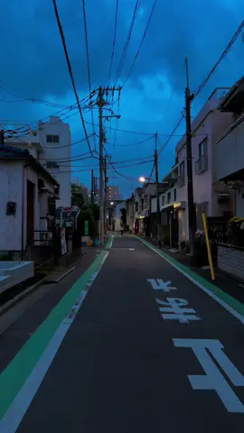 ブルーアワーの東京、なんか雰囲気があって好き。  #日本の美 #静かな時間 #vibe #japan #tokyovibes   