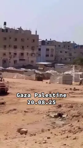 berita terbaru terupdate hari ini dari Pemukiman Zaitun Gaza palestina 