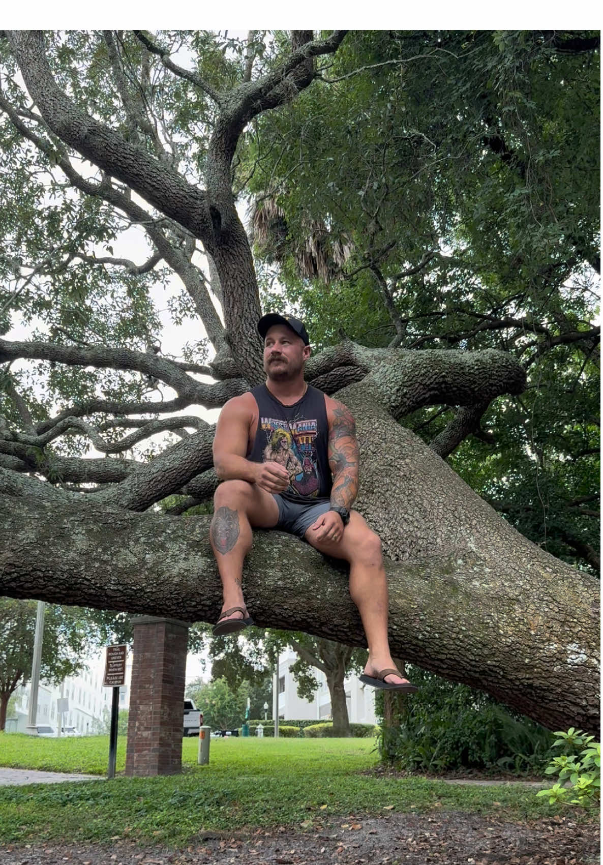 Just monkeyin around #fyp #contentcreator #tree #nature #monkey 