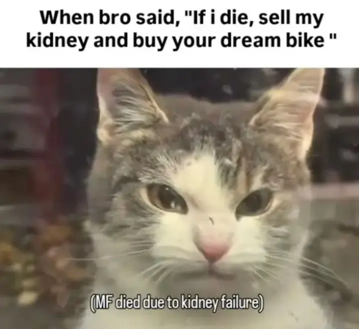 how could you 🥲