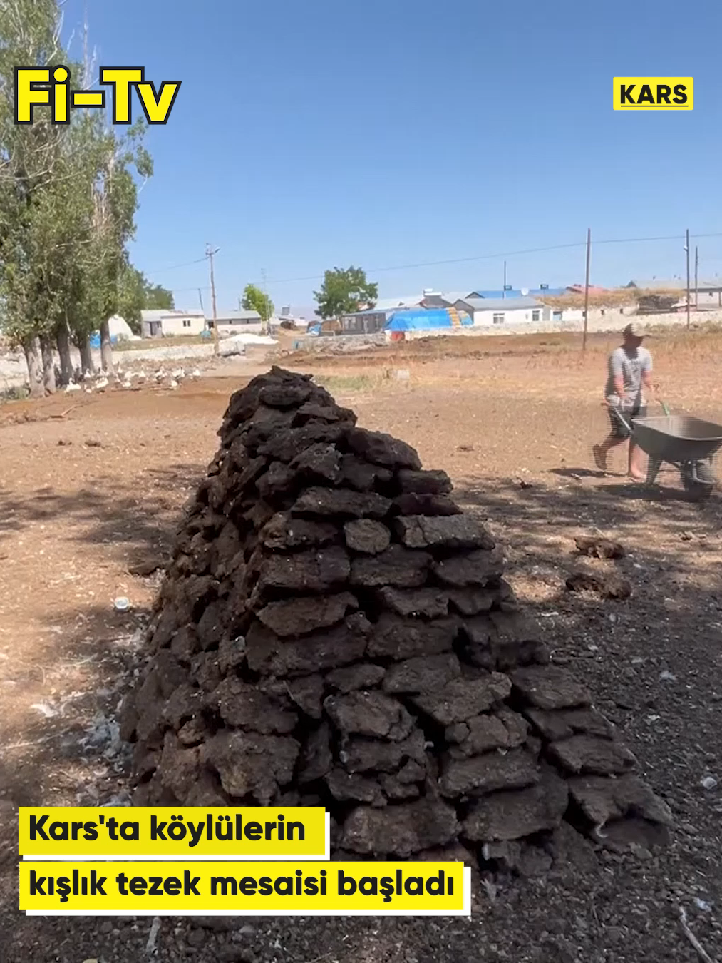🔴Kars'ta köylülerin kışlık tezek mesaisi başladı 🔴#Kars'ta kış aylarının çetin geçmesi nedeniyle #köylüler, #yakacak ihtiyaçlarını karşılamak için ‘#tezek mesaisine' başladı.