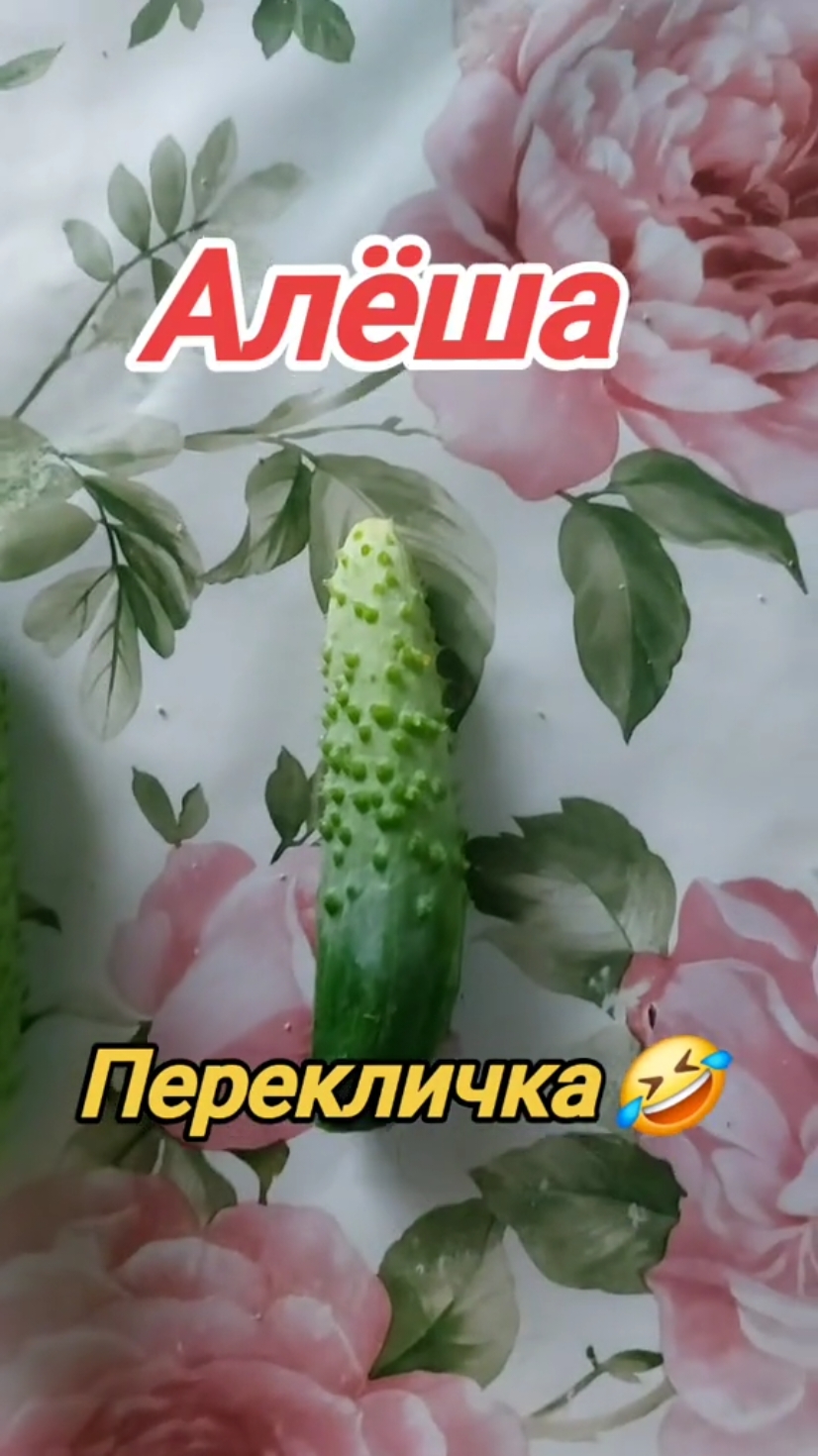 #перекличка #огурцы #рекомендации #recommendations #заготовкиназиму #приколыдослез #бывшие #мужскиеимена 