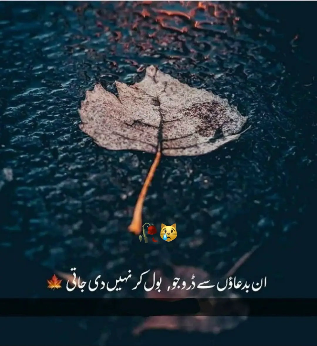 #foryoupage❤️❤️ #foryoupage #fypシ #foryou #urduquotes 
