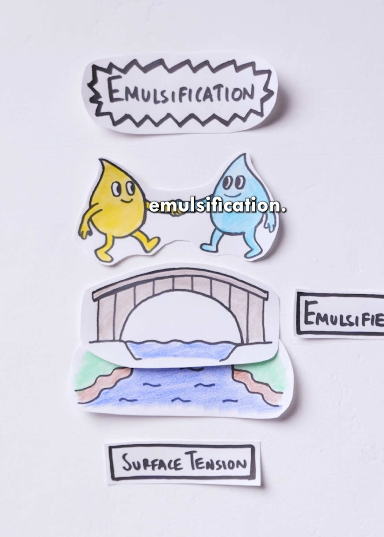 Food Formulas | Emulsification 🧪  A quick and very basic primer on the “art of emulsification” #cooking #food #foodscience #foodtiktok #chef 