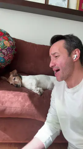 Cuando le cantas #TeSigoAmando a quien amas, pero más ama dormir 😂😂 #Rocky 🐶❤️