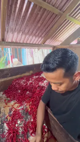 Rido lado🌶️🍅🧄🍆🥕 #fypシ゚ #fyp 