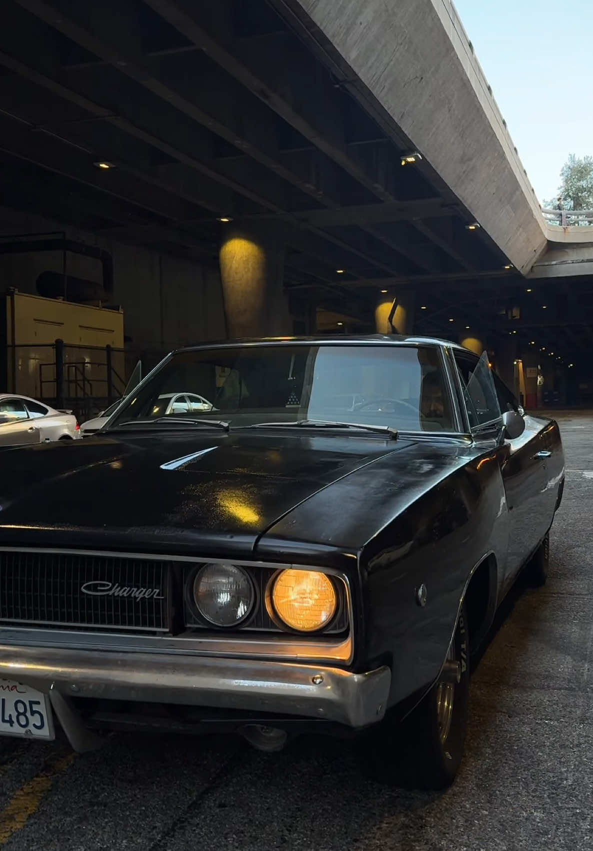I think the patina adds character. What do you classic car guys use to clean up your rides ? #dodgecharger #losangeles #americanmuscle #musclecar #mopar 