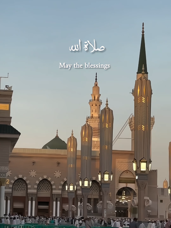 Salamullah..🤍 #frenzy_edits1 #islamic_video #salamullah #maherzain #islamicstatus  #sallallahu_alaihi_wa_sallam #darood #peacebeuponhim #yarasoolallah #jummamubarak #jummamubarak 