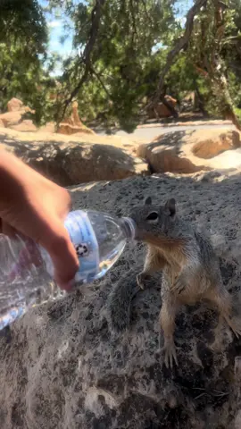 Je l'ai vu chercher à boire, je lui ai donné mon eau 💦 