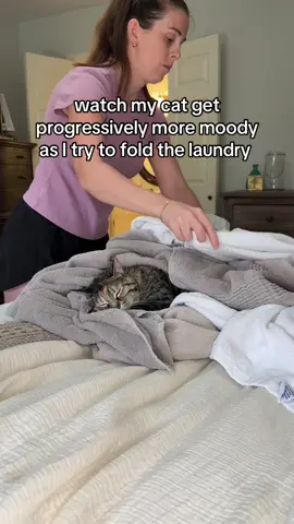 I was trying to not disrupt her #cats #catmom #funnycats #catsoftiktok #catinlaundry 