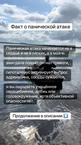 Всё это -абсолютно нормальная реакция, если речь идёт о реальной опасности.  Но в случае панического расстройства ключевая ошибка заключается в том, что система мозга, настроенная на «распознавания угрозы» начинает реагировать не на внешние факторы, а на внутренние телесные сигналы - ощущения, которые сами по себе не представляют угрозы. Так возникает замкнутый круг: физиология запускается по биологически верному механизму «бей или беги», только объекта опасности нет, и именно эта несоответственность рождает ощущение катастрофы. Человек пугается собственных реакций, а страх становится триггером следующей атаки. 👉 В «Базе знаний от невроза» я подробно разбираю этот процесс: от роли лимбической системы и коры до практических способов разорвать круг паники, чтобы перестать воспринимать свои телесные реакции как угроза для жизни. Там вы найдёте объяснения, которых не хватает в обычных книгах и статьях, и получите инструменты, позволяющие реально менять чувствительность мозга к тревоге. Доступ к «Базе знаний» по ссылке в шапке профиля всего 990₽ ⬆️ #паника #паническаатака #страх #тревога #еленаскрабовская