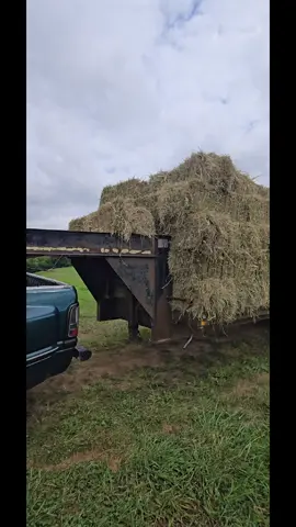 Caddy wampus hay 