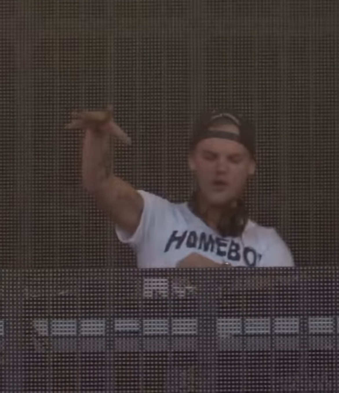 Avicii ~ Dear Boy  @ Pinkpop 2015 #avicii#edm#electronicmusic#fyp#foryou