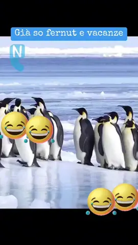 #ridichetipassa🤣🤣🤣🤣🤣😘😘😘💙💙💙 