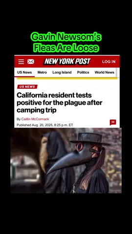 Looks like Gavin Newsome’s wretched state has yet another problem.  The Plague has reared its head!