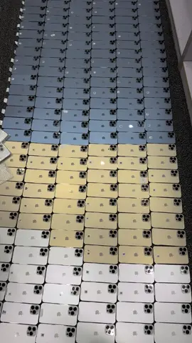 13Pro Max 256GB PTA #foryou 