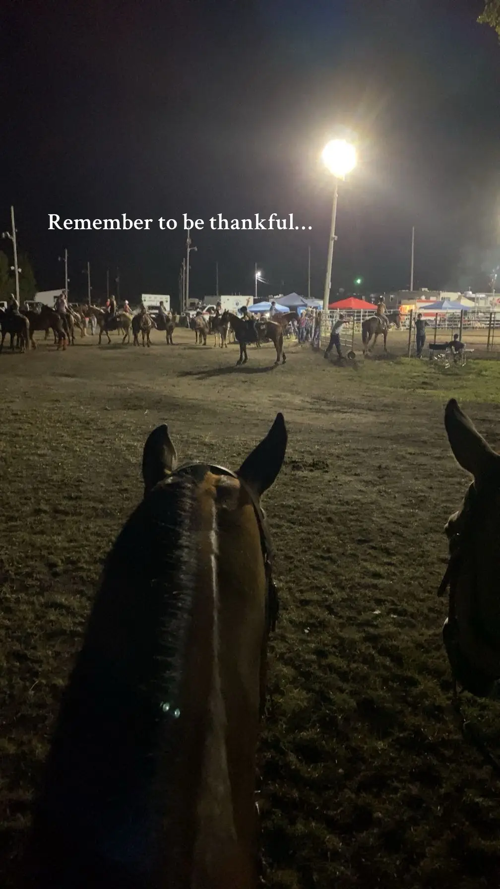 #horse #livestock #thankful #hearthorse #westernpleasure 