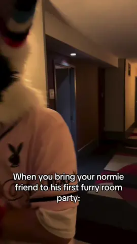 room Party #fame #funny #fyp #fursuiter #mustwatchthis 