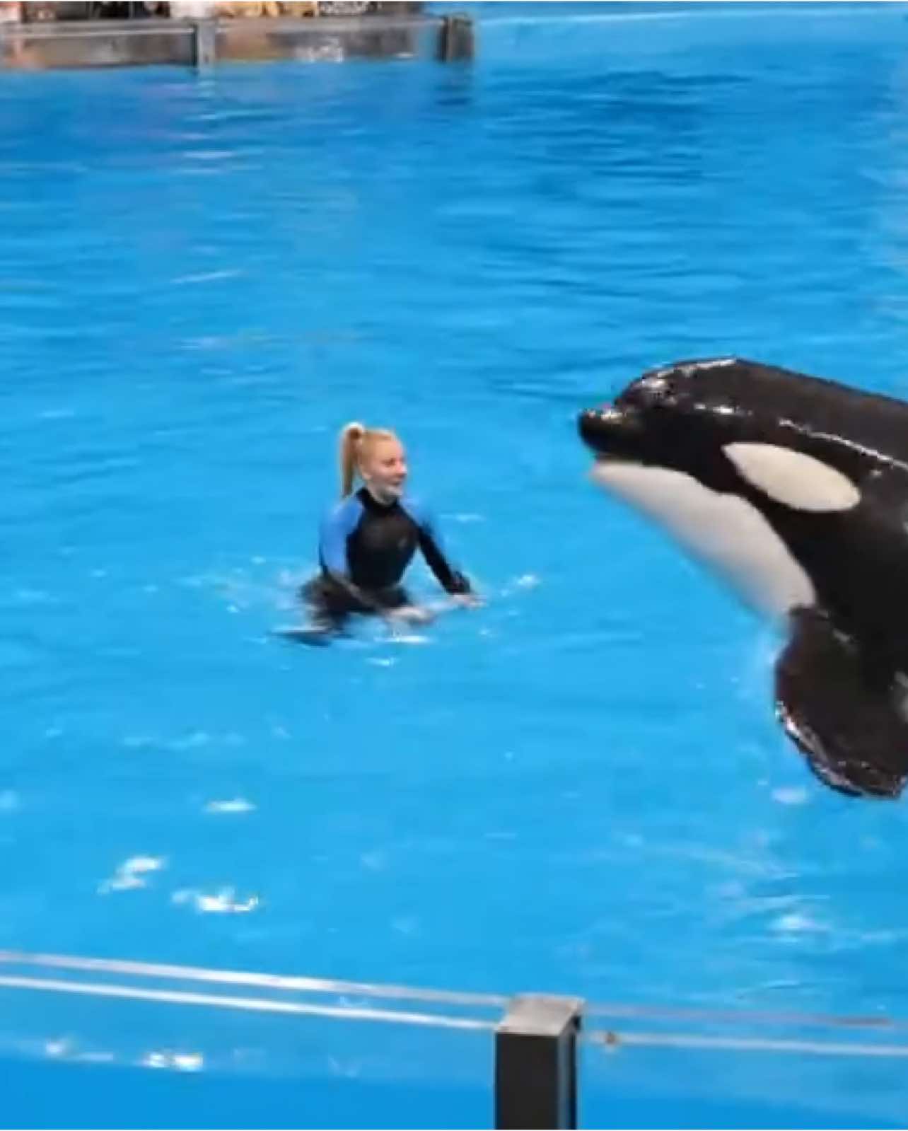 Jessica  #jessica #trends #delfin #orka 