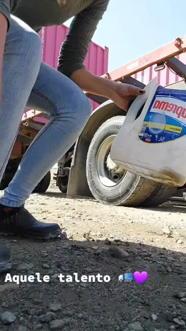 Tem gente que tem me de sujar a mão com pretinho PENA QUE NAO É O MEU CASO  #caminhao  #mulhernovolante  #edemenina😍🏍️💞  #choraboy  #volvo 