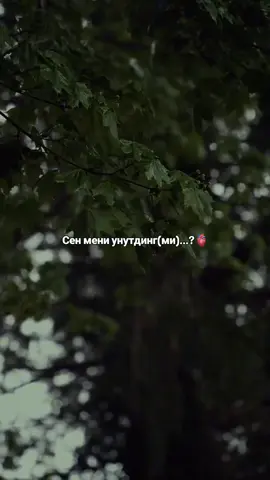 Унутдинг...😅)