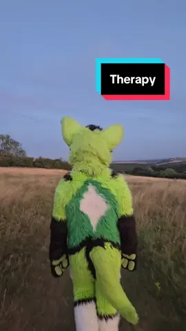 Suddenly I feel so much better @Kinan Becker  #furry #furrymeme #furrymemes #therapy #nightphin 