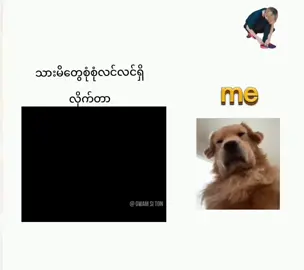 #သားမိတွေခုမှပြန်ဆုံတာ😆😂 