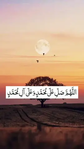 #اللهم_صل_على_محمد_وآل_محمد #اللهم_انك_عفو_تحب_العفو_فاعف_عنا #گــوهــداربـە😊 #fyp 