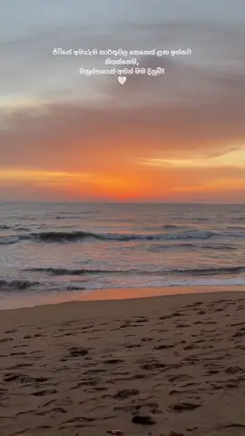 ආදරේට ආදරේ කරන මිනිස්සු හම්බුනාම හරි ලස්සනයි..🤍 @shemal ;-)  @O S H I 🌻💛 @Lahiru sandanayaka 🇧🇲🇱🇰 @Kalani Rashmika  #fyppppppppppppppppppppppp #viral #loveyou 