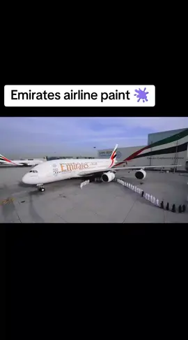 Emirates airline paint 🫟#fyp #Emirates #airline #paint #viral 