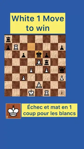 Chess practice | mate in 1 ! #chess #шахматы #शतरंज #echecs #棋  
