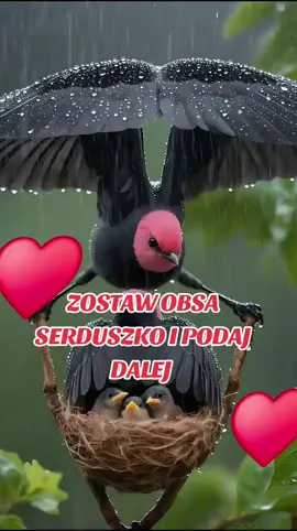 #videoviral🐬💯👌💐❤️‍🔥🦋🕊 #CapCut💌💘💝💖💗💓💞💕💟❣️💔❤️‍🔥❤️‍ #🌺🌺🌺💐💐💐🥀🥀🥀💞💞💞 