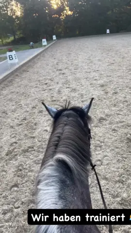 #dreimalvierhufe #beautifullittlecashmereinside 