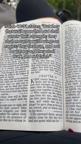 Isaiah 40:31 states, 