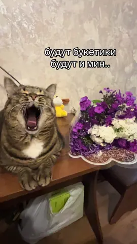 Vazя
