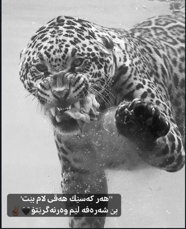 #pola #تەڵخ #viralvideo #accccccccccccccccccccccccccccccc #fffffffffffyyyyyyyyyyypppppppppppp 