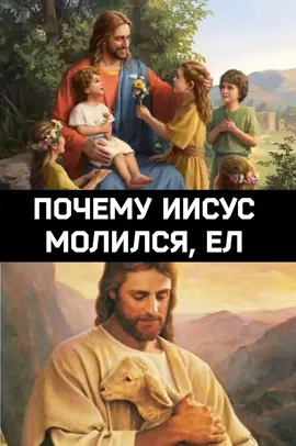 кушаем контент