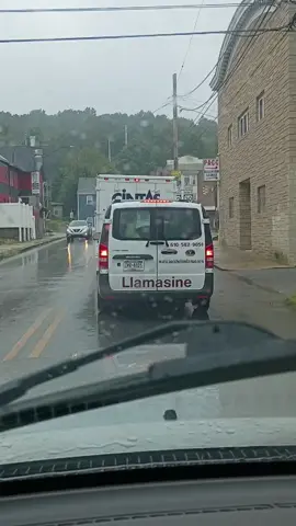 where the heck was Llamasein driver on the job list for career days in school!?! 