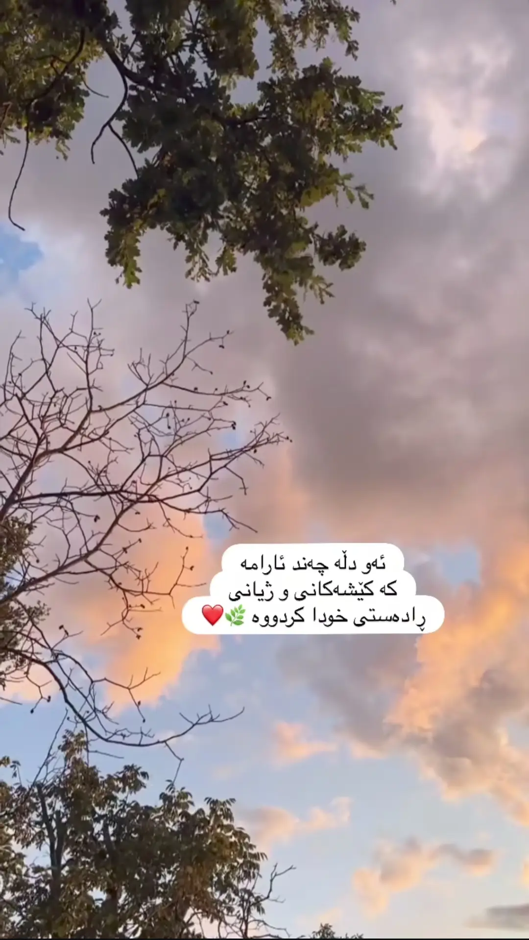 #سپاسبۆخوایپەروەردگار #اللهم_صل_وسلم_على_نبينا_محمد #قورئان_ئارامی_دڵان🕋📿خودایە_لێمان_خۆشبە #سبحان_الله_وبحمده_سبحان_الله_العظيم #foryou 