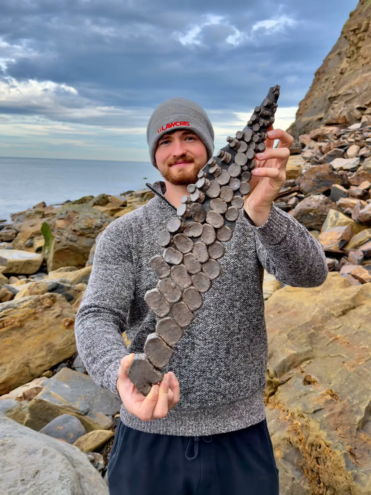 Here’s an outstanding example of an Ichthyosaur Flipper specimen that has been found and prepared by the Yorkshire Fossils Team, it is roughly 180 Million years old 😍🦕 The intricate details are truly something to behold! 🔬🏝 Thanks for supporting our page! 🐊 #natural #nature #fossil #fossils #ancient