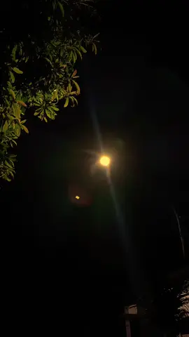 _