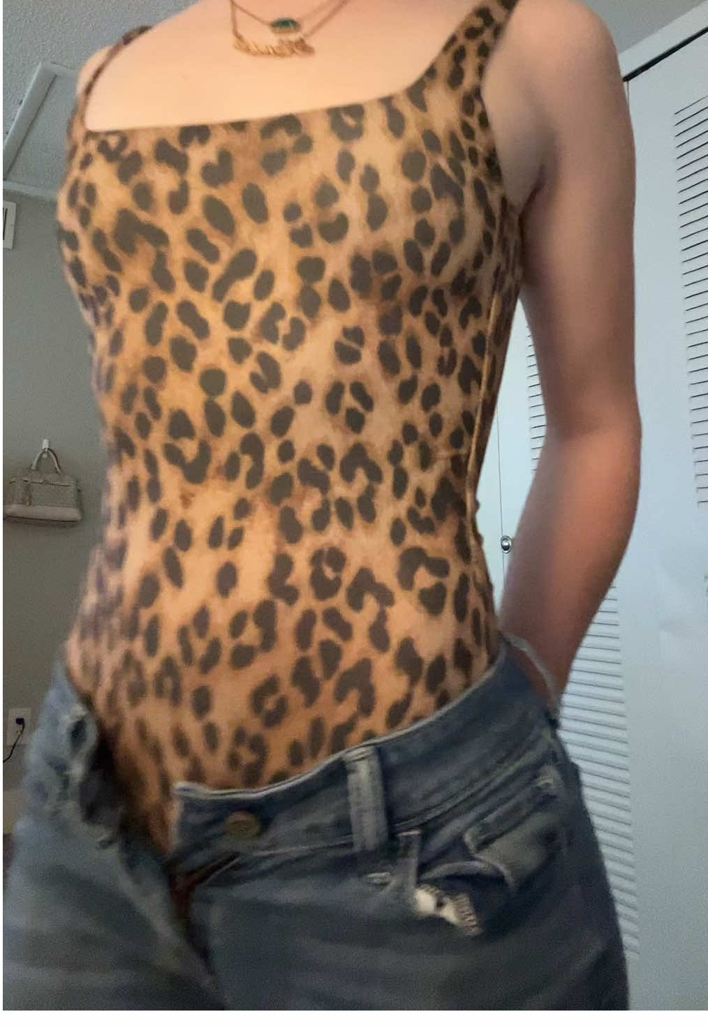 🐆