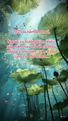 #CapCut 2025 âm hoả ảnh hưởng tích cực cho người có xu hướng thuỷ vượng .