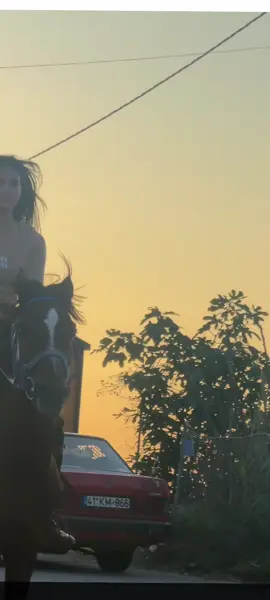 الخيالة شهد #خيل_وخياله🐎 #شهدالشمري #شهد @sh7azi_ #اكسبلور 