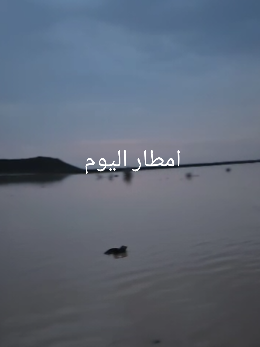 امطار جنوب شرق ابيار الماشي #جنوب_المدينة #امطاراليوم #امطار_المدينه #نصوير #ليلة_الجمعة 