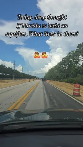 Subterranean Aquatic Life, intresting stuff. For all we know Nessie could be under us at anytime . 🤷🤷 #florida #aquifer #fishtok #fish #subterranean 