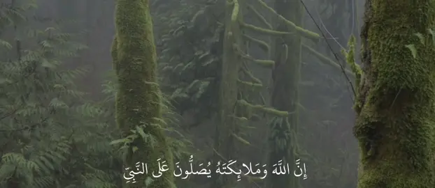 ﴿ إِنَّ اللَّهَ وَمَلائِكَتَهُ يُصَلُّونَ عَلَى النَّبِيِّ ﴾     ————————————-@user56377103518 #بدر_التركي #سوره_الاحزاب #quran #قرآن 