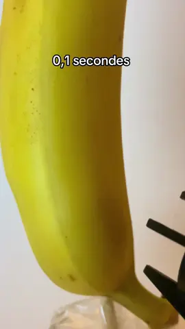 Briquet Surpuissant vs Banane #satisfying #asmr #experience #fyp #viral 